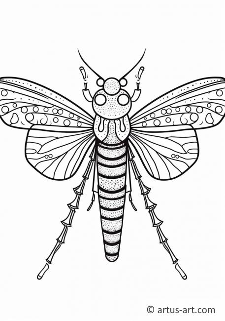 Awesome Mayfly Coloring Page